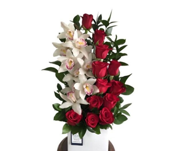 Jardin de orquideas