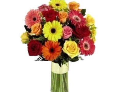 18.-primavera-12-rosas-12-gerberas-70.ooo_.jpg