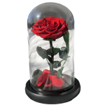 Rosa preservada