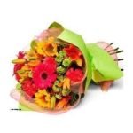 Arcoiris floral