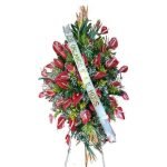 Aura de Consuelo