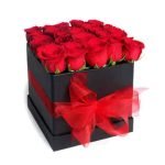 Rosas en Cubo